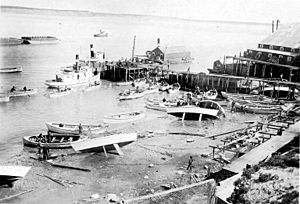 Fishing boats and dock at the Alaska Packers Association cannery, Naknek, Alaska, Aug 1906 (COBB 218)
