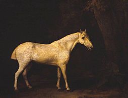 George Stubbs (1724-1806) - Horse in the Shade of a Wood - N04696 - National Gallery
