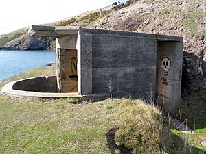 Harrington Point Gun emplacement