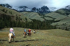 Horseback riding Shoshone National Forest