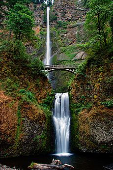 Multnomah Falls (Multnomah County, Oregon scenic images) (mulDA0002)
