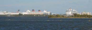 Port canaveral cruise ships 01