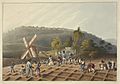 Slaves working on a plantation - Ten Views in the Island of Antigua (1823), plate III - BL