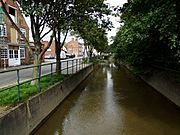 South Basin of the Horncastle Canal, Horncastle - geograph.org.uk - 563238