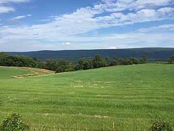 2016-07-07 17 51 12 View southeast towards Great North Mountain in Frederick County, Virginia from West Virginia State Route 259 (Carpers Pike) in High View, Hampshire County, West Virginia.jpg