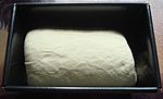 Bread dough in tin