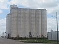 Dimmitt, TX, grain elevator IMG 4833