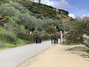Paved Section of Runyon Canyon Road In Runyon Canyon Park