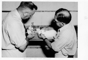 Queensland State Archives 4855 Myxomatosis experiment Sherwood c 1952