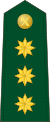 Spain-Civil Guard-OF-5.svg