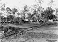 StateLibQld 1 40595 Workers gather for a meeting at Cordalba, Queensland, 1911