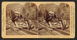 "I helped to build Pike's Peak railroad myself," Colorado, U.S.A, from Robert N. Dennis collection of stereoscopic views 2