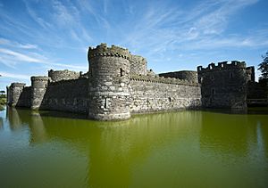Beaumaris Castle (8074243202).jpg