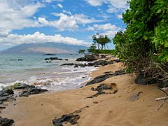 Kihei beach with the West Maui Mountains in the distance