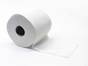 Toiletpapier (Gobran111)