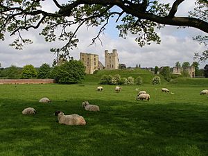 Remains of Helmsley Castle, home of the family of Sir Robert Constable's mother, Katherine Manners