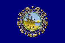Flag of New Hampshire (1909-1931)