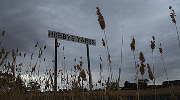 Hobbys Yards.jpg