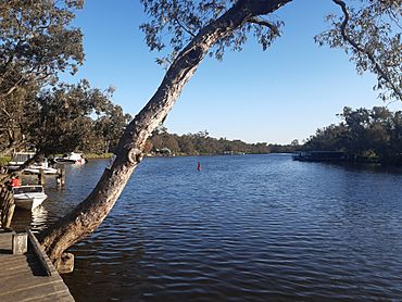 Murray River at Ravenswood, Western Australia, October 2021.jpg
