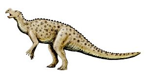 Muttaburrasaurus NT