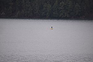 Otsego Lake biological buoy