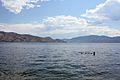 Swimmers in Peachland