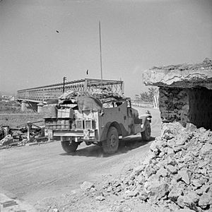 The Campaign in Sicily 1943 NA5281.jpg