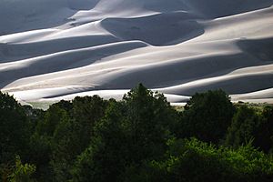 A248, Great Sand Dunes National Park, Colorado, USA, 2008