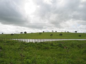 Agrestina-Zona-rural