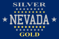 Flag of Nevada (1905-1915)