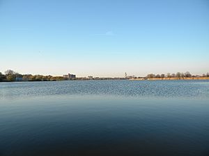 Flushing Meadow Park