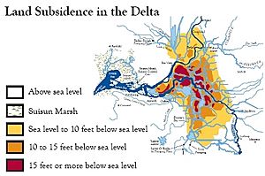 Land Subsidence in the Delta Eric Chase 1995