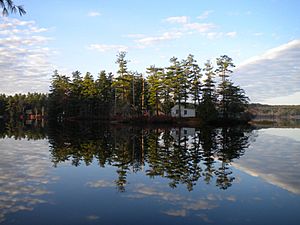 A clear view of Loon Island on a calm day on Forest Lake