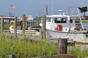 Money Island NJ commercial fishing and crabbing docks