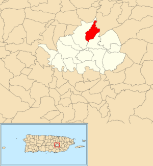 Location of Monte Llano within the municipality of Cidra shown in red