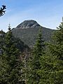Camels Hump, Vermont, 2020-05-19