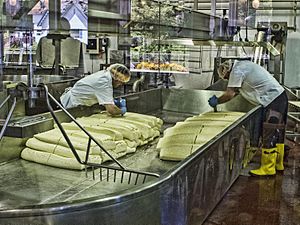 Cheesemaking, Bandon OR