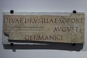 Inscription dédiée par Caligula à sa soeur Drusilla divinisée MBALyon 2018
