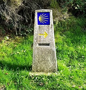 Marker Camino de Santiago