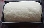 Risen bread dough in tin
