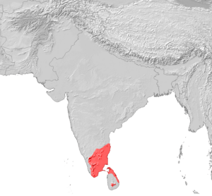 Tamil Verbreitung