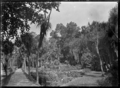 View of the Public Gardens at Oamaru, circa 1925. ATLIB 292320