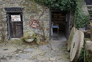 Y Felin (The Mill), St Dogmaels - geograph.org.uk - 743856