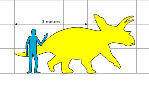 Anchiceratops Size