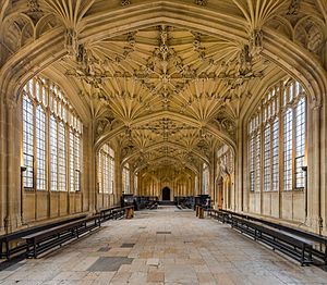 Divinity School Interior 1, Bodleian Library, Oxford, UK - Diliff