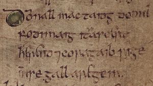Domnall mac Taidc (Bodleian Library MS Rawlinson B 503, folio 33r)