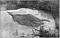 Gneiss Inclusion in Granite Plate XLI Keyes 1895