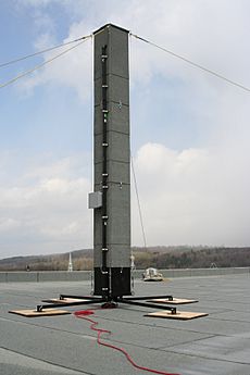 Nesting tower for Chimney Swift GUEJ080501-24