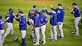 The Cubs celebrate after their 9-3 win over the Indians in World Series Game 6. (30637158101)