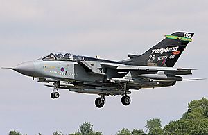 Tornado - RIAT 2007 (2348465284)
